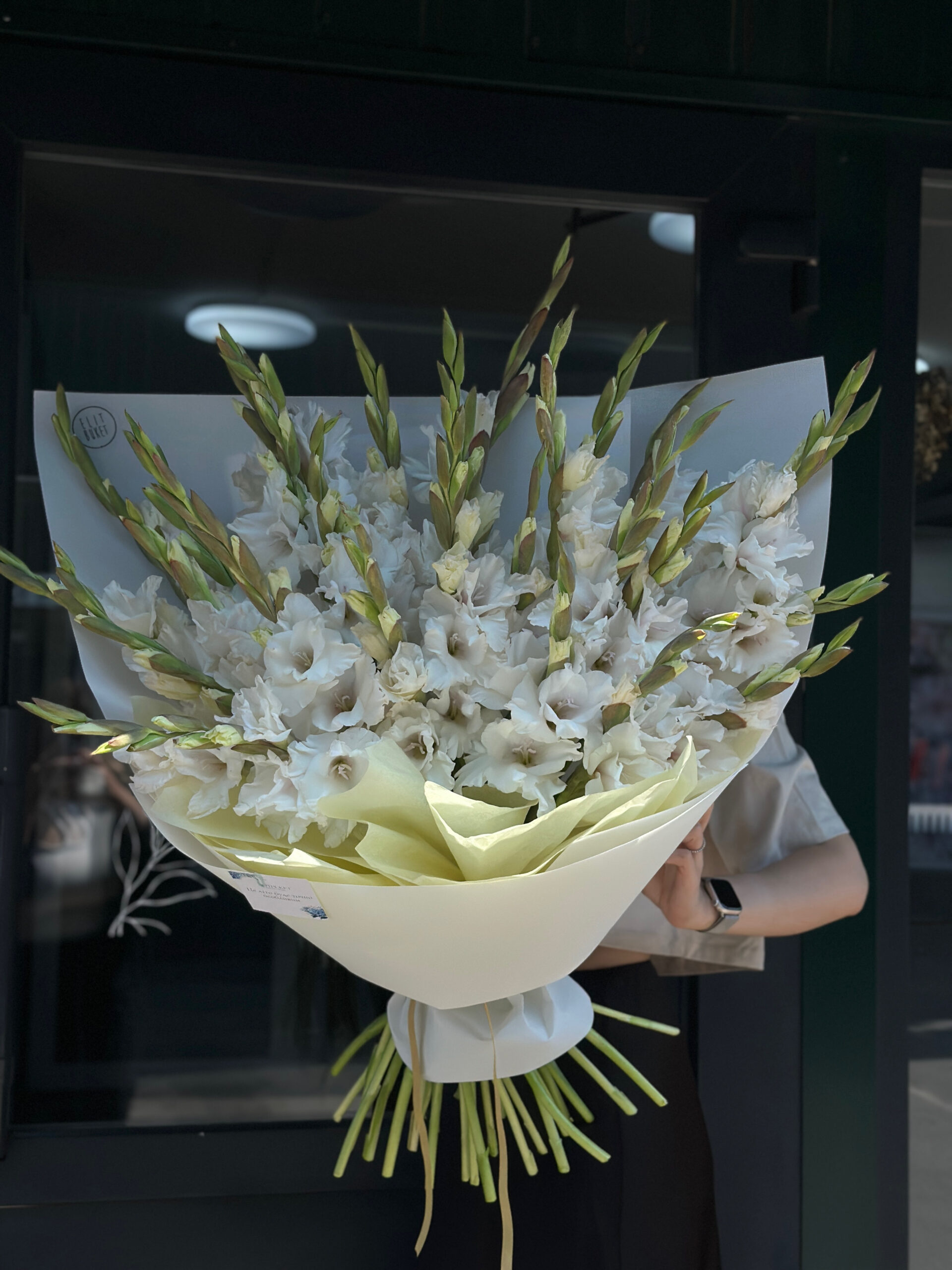 15 Белых и Сиреневых Гладиолусов